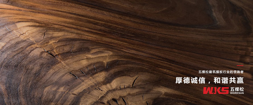 對于建筑模板你的認知度如何？